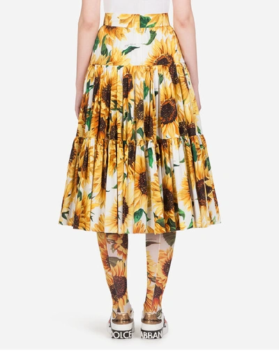 Shop Dolce & Gabbana Sunflower-print Poplin Midi Skirt In Floral Print
