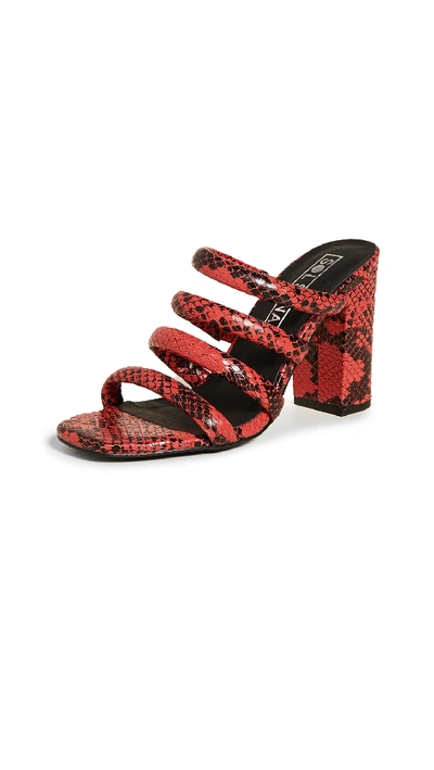 Shop Sol Sana Judy Tubulur Mules In Red Snake