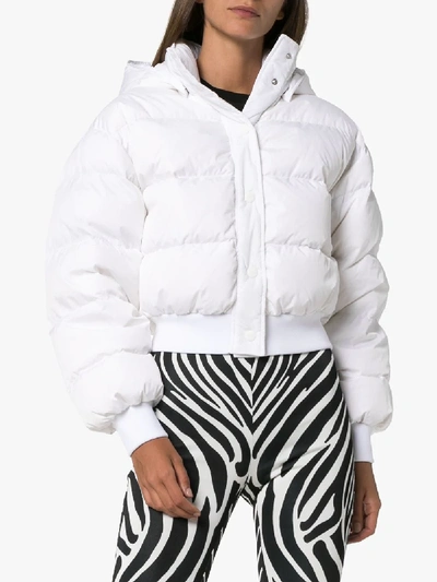 Shop Msgm Logo Print Hooded Puffer Jacket In White