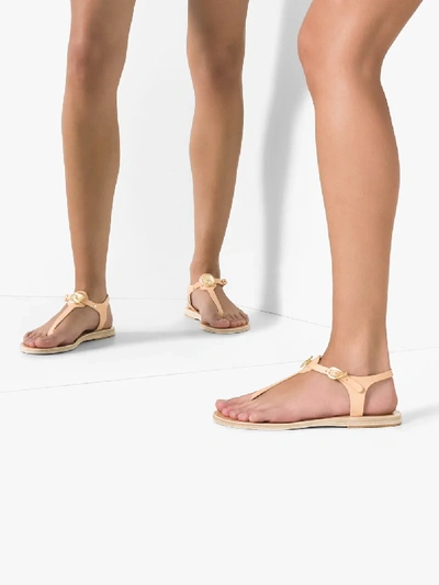 Shop Ancient Greek Sandals Nude Lito Flat Leather Sandals In Neutrals