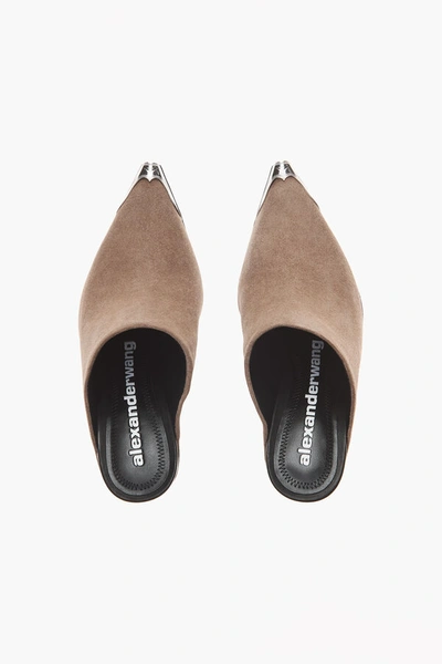 Shop Alexander Wang Su Suede Mule In Sand