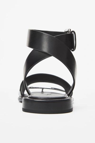 Shop Alexander Wang Sora Sandal In Black