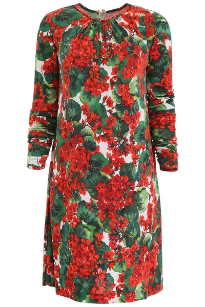 Shop Dolce & Gabbana Portofino Print Dress In Gerani Fdo Bco Nat (red)