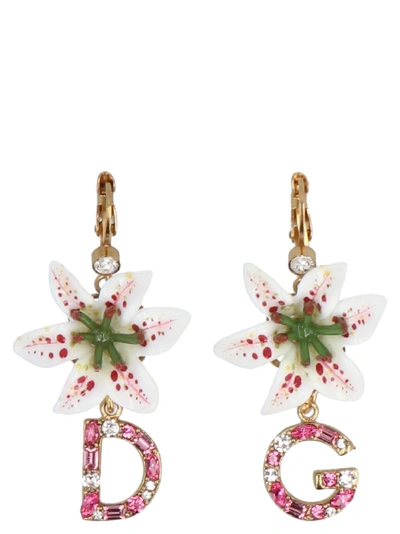Shop Dolce & Gabbana Earring In Multicolor