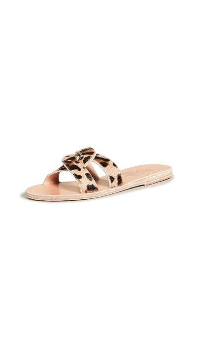 Shop Ancient Greek Sandals Desmos Slides In Pony Leopard