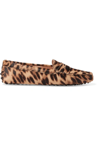 Shop Tod's Gommino Leopard-print Calf Hair Loafers In Brown