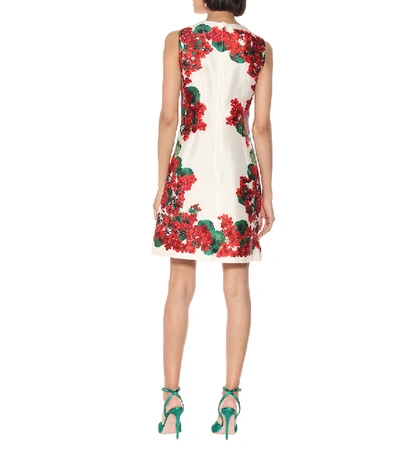 Shop Dolce & Gabbana Floral Silk Minidress In Red