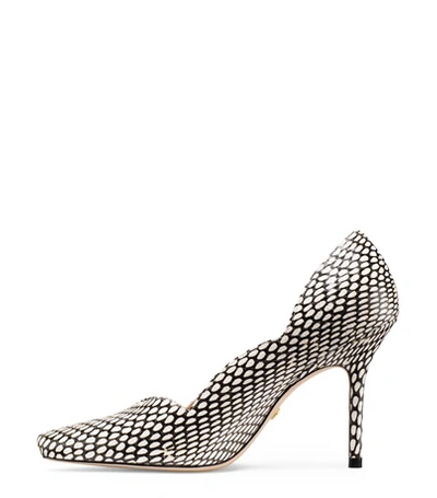 Shop Stuart Weitzman Alva 95 In Black And White King Cobra