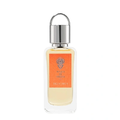 Shop Acqua Di Stresa Dianthus Eau De Parfum 50ml