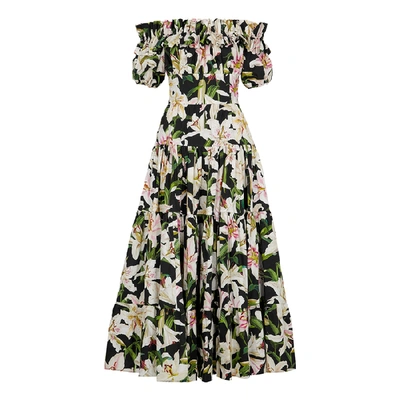 Shop Dolce & Gabbana Black Lily-print Cotton Dress