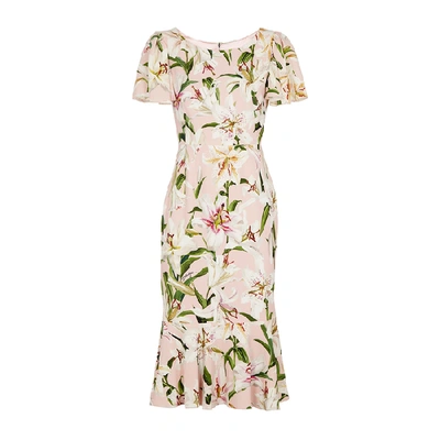 Shop Dolce & Gabbana Lily-print Cady Dress