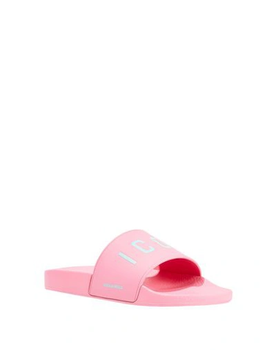 Shop Dsquared2 Slippers In Pink