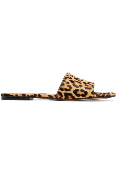 Shop Gianvito Rossi Leopard-print Calf Hair Slides In Leopard Print