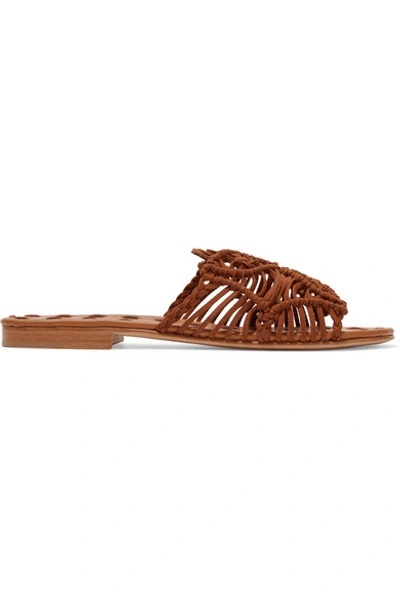 Shop Carrie Forbes Rosa Woven Suede Slides In Brown