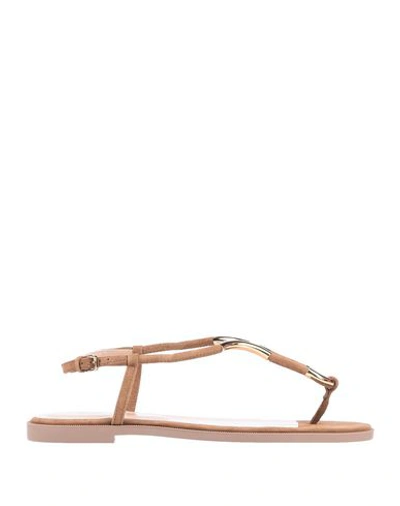 Shop Sergio Rossi Toe Strap Sandals In Brown