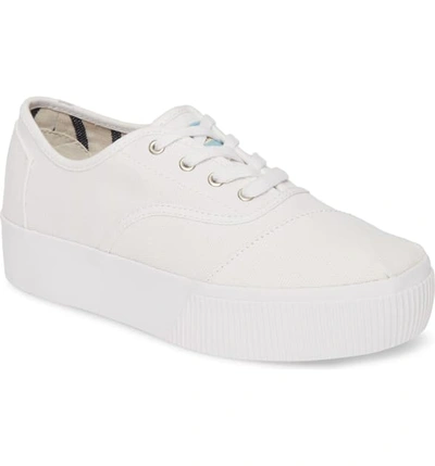 Shop Toms Cordones Boardwalk Sneaker In White Canvas