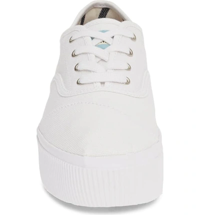 Shop Toms Cordones Boardwalk Sneaker In White Canvas