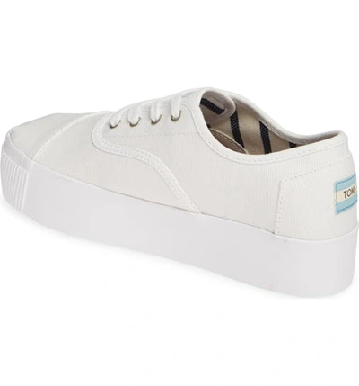 Shop Toms Cordones Boardwalk Sneaker In White Canvas