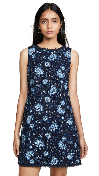 Shop Alice And Olivia Clyde Shift Dress In Cornflower/multi