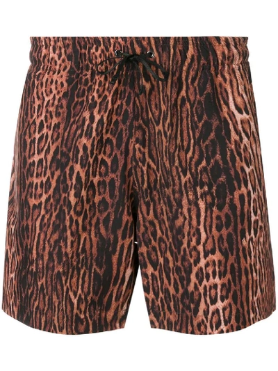Shop Amiri Leopard Shorts Brown