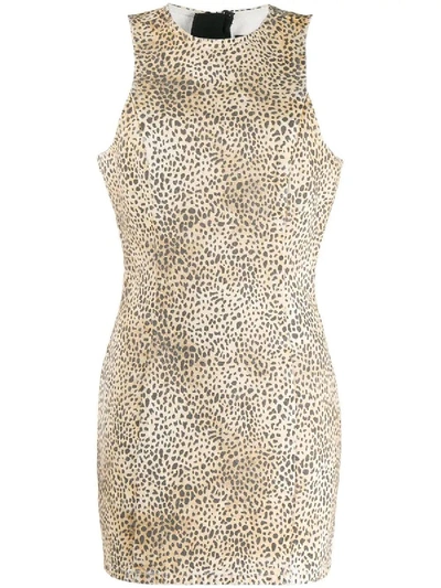 Shop Alexander Wang Cheetah Print Dress In Brown