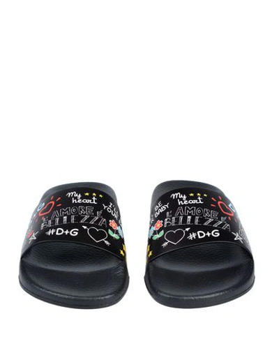 Shop Dolce & Gabbana Woman Sandals Black Size 4 Calfskin