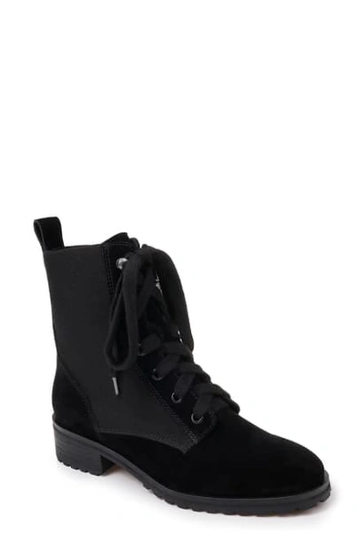 Shop Splendid Hermilla Lace-up Boot In Black Suede