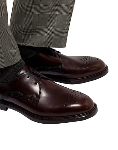 Dolce & Gabbana Lace-up Shoes In Brown