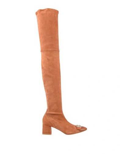 Shop Elisabetta Franchi Knee Boots In Brown