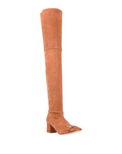 Shop Elisabetta Franchi Knee Boots In Brown