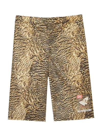 Shop Burberry Tiger Print Shorts