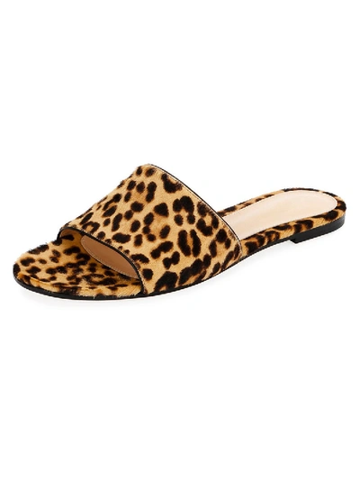 Shop Gianvito Rossi Leopard Slide Sandals
