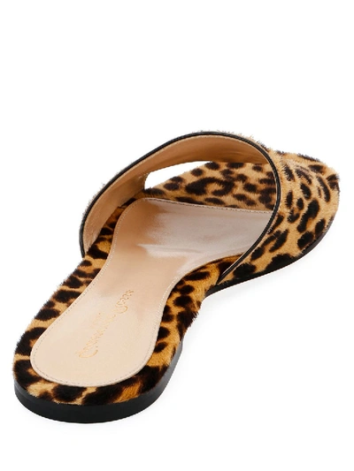 Shop Gianvito Rossi Leopard Slide Sandals