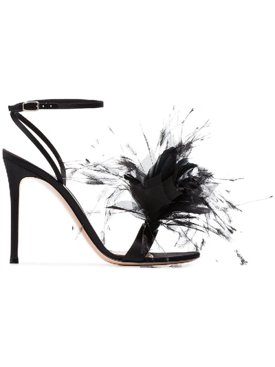 Shop Gianvito Rossi Black Feather Flower 105 Sandals