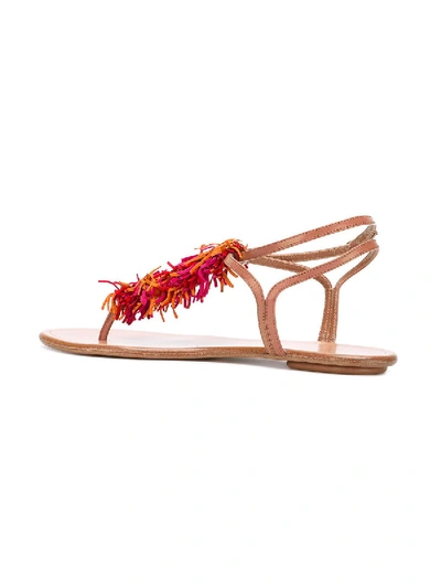 Shop Aquazzura 'wild Thing' Flat Sandals