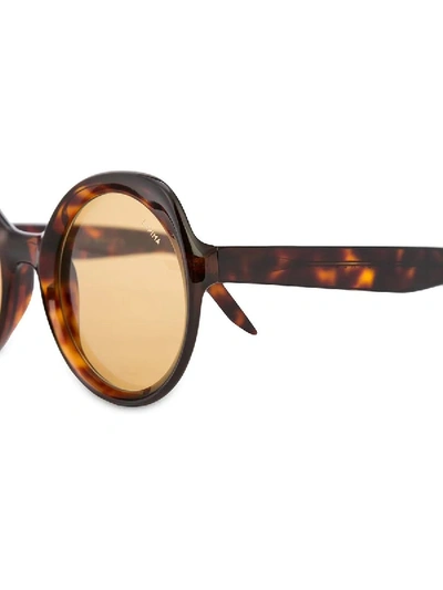 Shop Lapima Tortoise Carlota Sunglasses In Brown