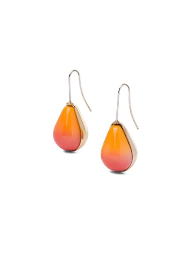 Shop Loewe Vermeer Earring In Orange