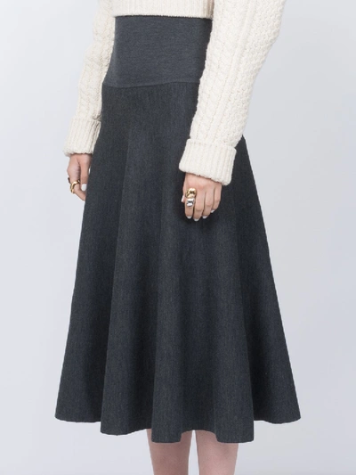 Shop The Row Alessia Midi Skirt In Grey
