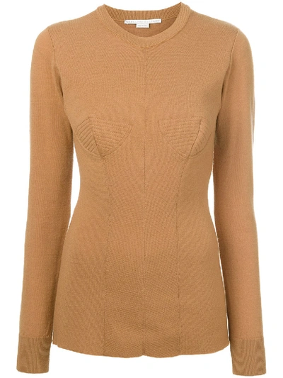 Shop Stella Mccartney Round Neck Sweater Brown