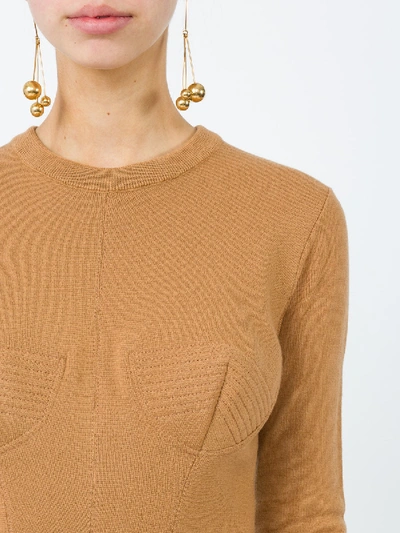 Shop Stella Mccartney Round Neck Sweater Brown