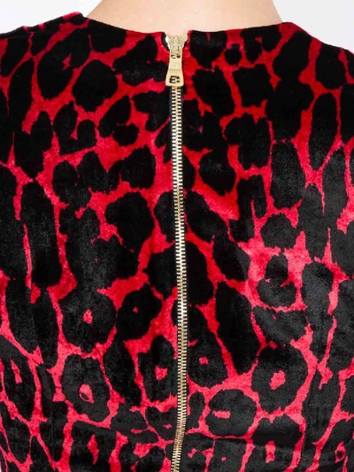 Shop Balmain Leopard Print Mini Dress Red