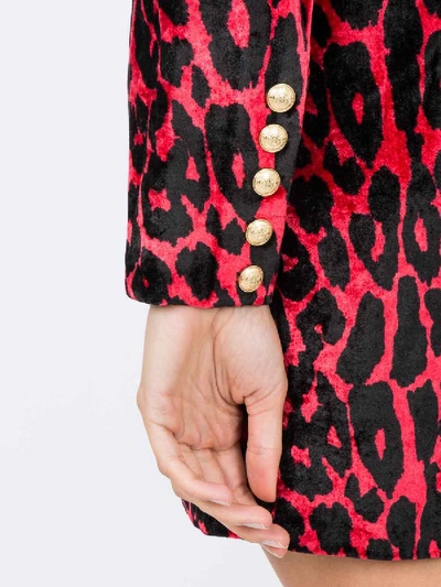 Shop Balmain Leopard Print Mini Dress Red