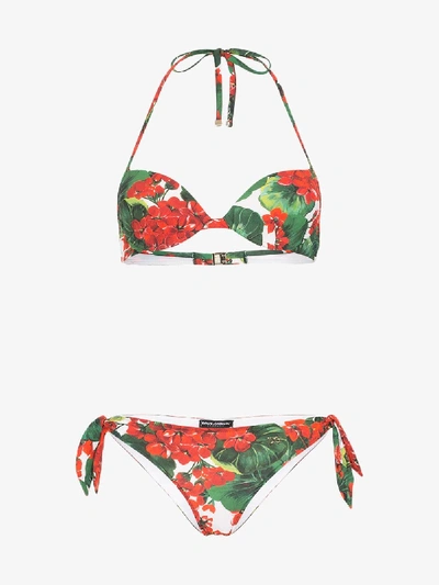 Shop Dolce & Gabbana Floral Print Bikini In Red