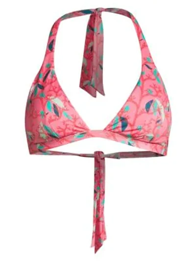 Shop Vilebrequin Fleche Print Triangle Halter Bikini Top In Turtles So