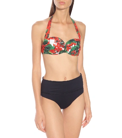 Shop Dolce & Gabbana Floral Bikini Top In Multicoloured