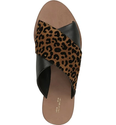 Shop Diane Von Furstenberg Bailie Sandal In Camel/ Black