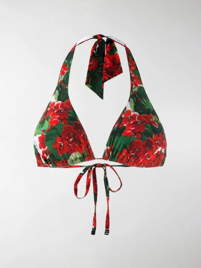 Shop Dolce & Gabbana Floral Print Bikini Top In Red
