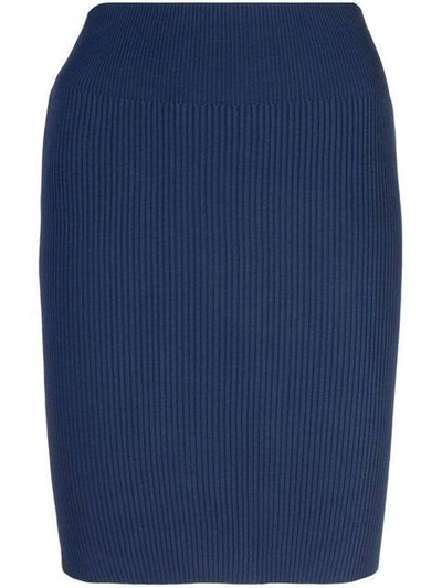 Shop Alexandra Golovanoff Julia Skirt In Blue