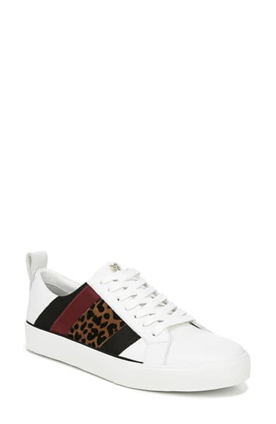 Shop Diane Von Furstenberg Tess Lace-up Sneaker In White/ Camel