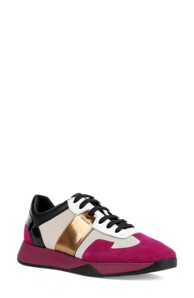 Geox Suzzie Sneaker In Cream/ Fuchsia Suede | ModeSens